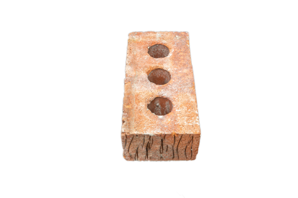 Ondulée mixte (ONT) - Image 4